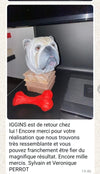 retour d un client heureux