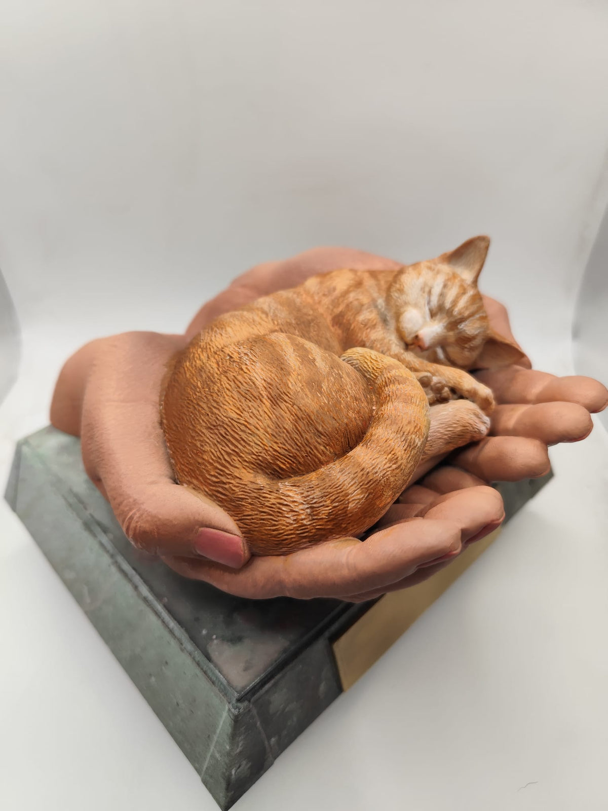 urne de chat